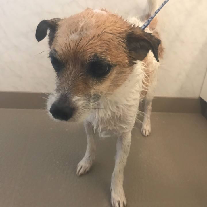 24b72051 e482 4d38 a935 9e579f41547c 1529373126284