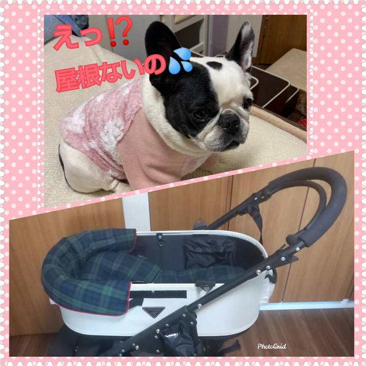 24b740b7 4904 49be b6ad ffd35268297c 1668033504593