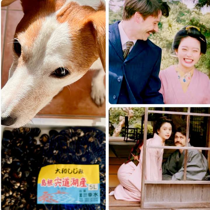 24b769b2 d5ec 4dda be3f e043ac4513c4 1767739548106