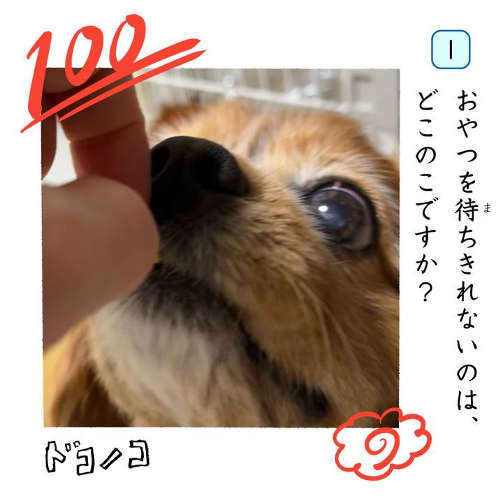 24b772b6 0581 454c b449 6d38a15cc7a4 1744373344356