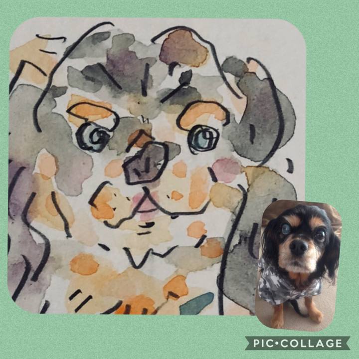 24b788d5 1867 4a0e a58c ccf8342e7e1c 1547304117917