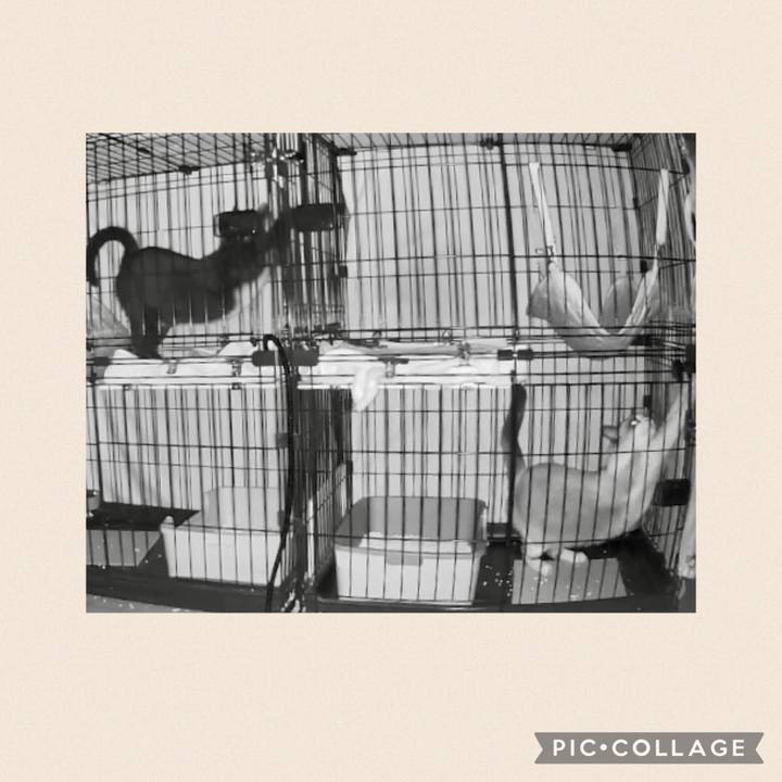 24b79281 246c 4e6b a51d 813416882a23 1763842286063