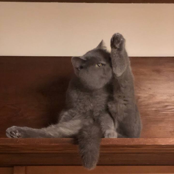 24b7a230 2ccf 47ca 9e8d f85898c91c2e 1612352412669