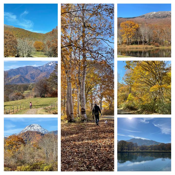 24b7d0c5 4203 46f1 8938 19de2eea91f6 1635588329455