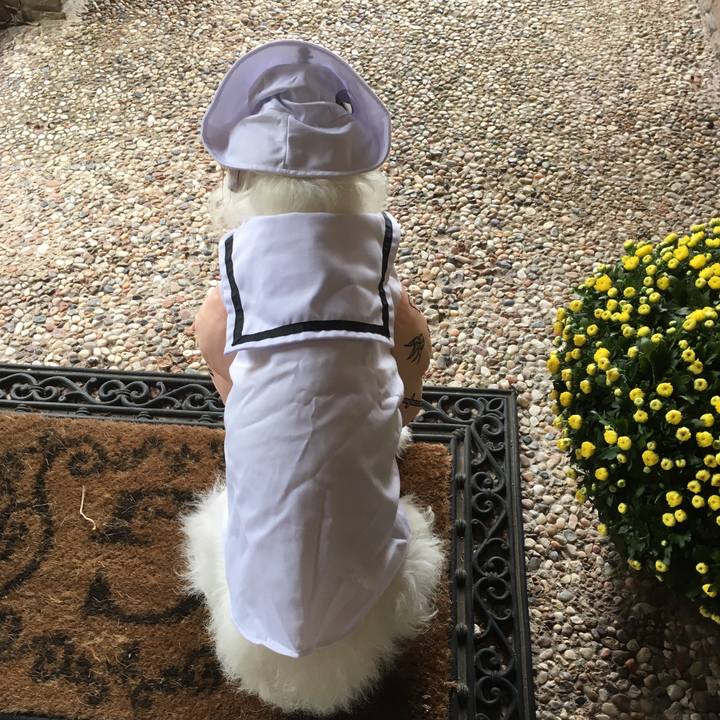 24b7d1f7 481b 4ae8 862f 84ac6a5737e8 1509575420310