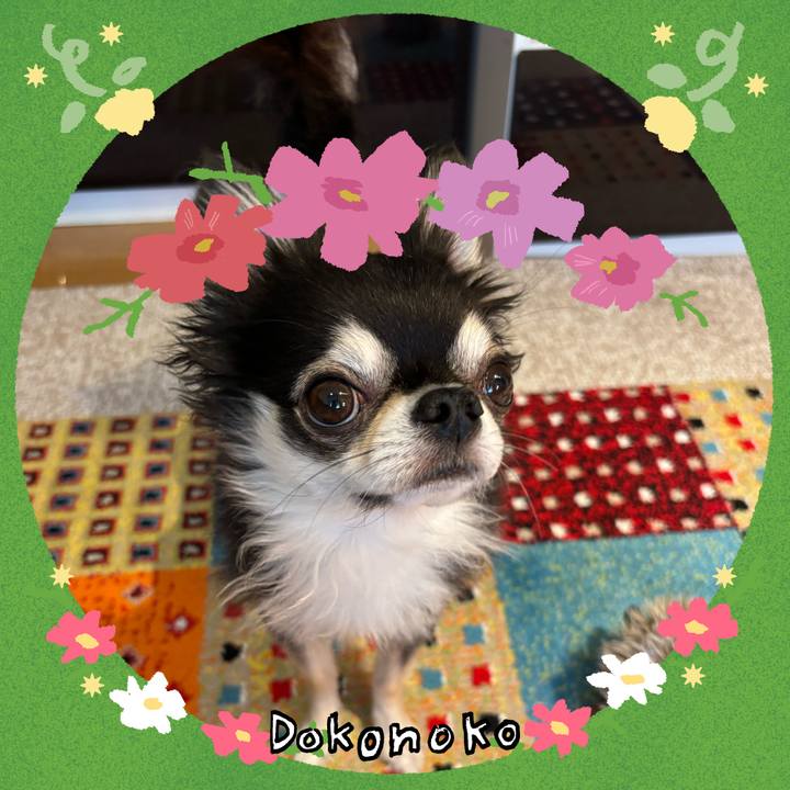 24b7e2d7 0715 4aba 80cc 3ee085bb1e10 1727106737336