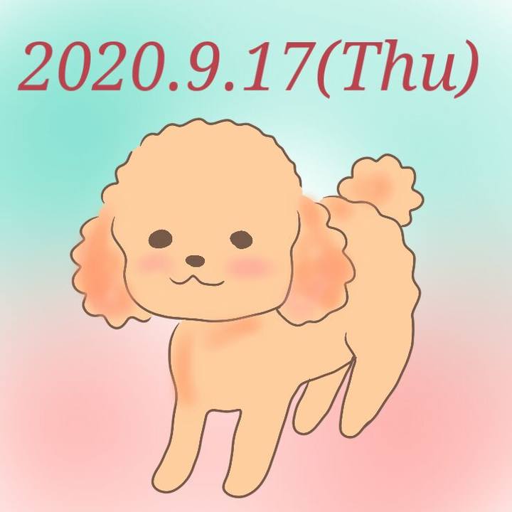 24b7e892 98e5 4b5d a8a2 6590d1d7767c 1600349939603