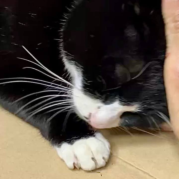 24b7f8d4 738d 4d75 ae21 878fa1d76d67 1737251671683