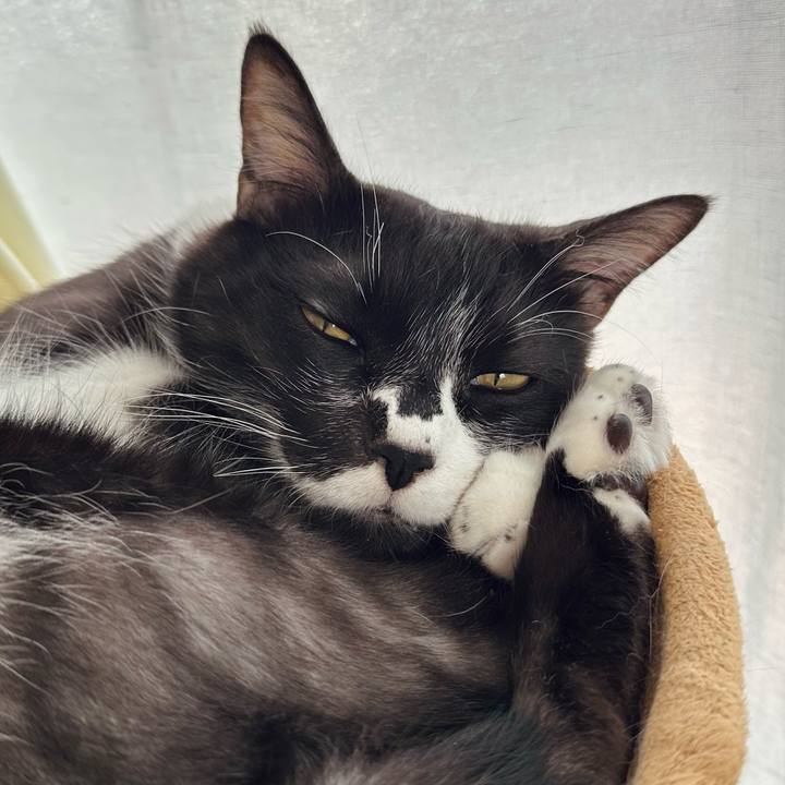 24b81ddc 0033 4656 9313 f8dd7dc4c173 1775975847680