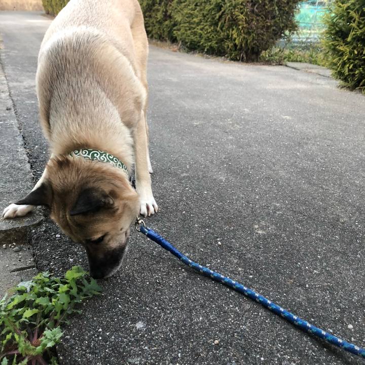 24b82feb 1dcb 4389 9152 a025313a391d 1607342559698