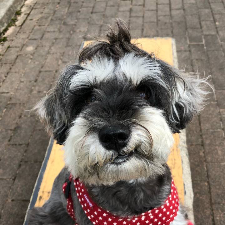 24b83557 2922 4cdc 8f63 adb06851355a 1537596689722