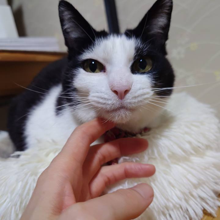 24b83fa5 4634 4406 a105 445d3fd38f94 1759320865026