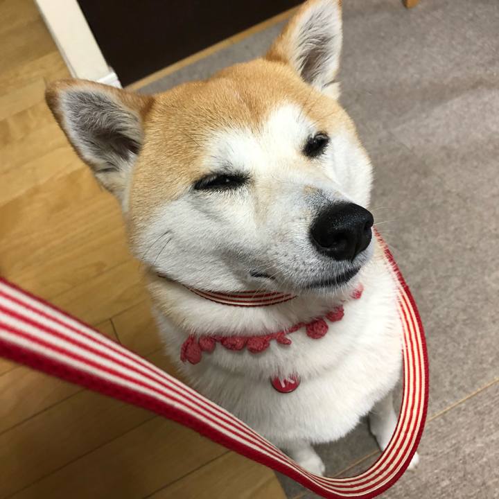 24b84119 0a67 4c0a b7e0 8d57a49d0536 1559689656808