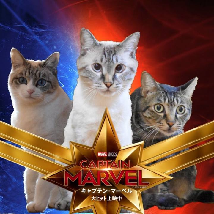 24b877b9 e389 4e15 9dc5 9a5198d4aef6 1554021727202