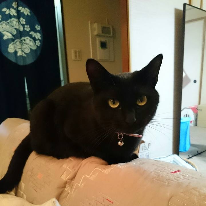 24b8c467 8f9f 4823 9312 9f9e70f9cea2 1528124879576