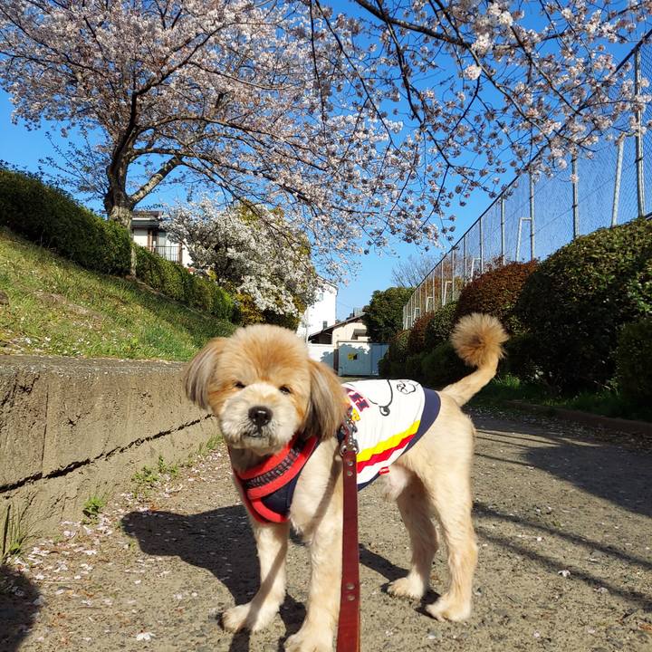 24b8f6bb f0d6 424b a3f0 d56935fb34b4 1649030646514