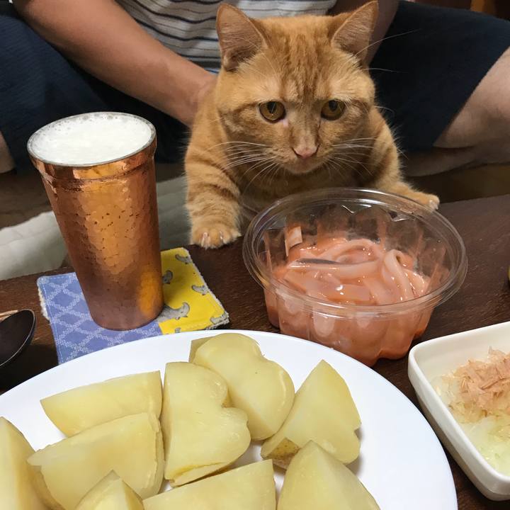 24b95a0a 6698 4099 bb22 9abbae430a3c 1537879750990