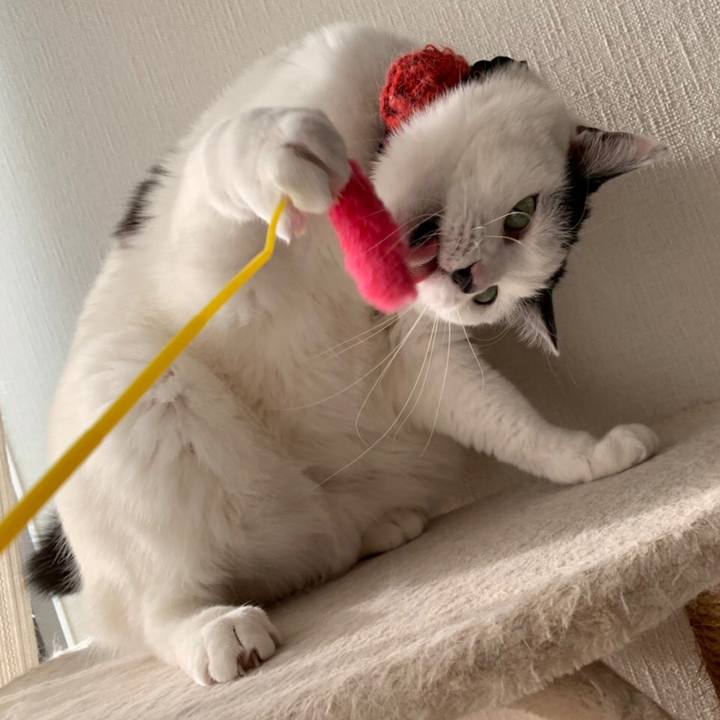 24b9aa06 8286 476c bef2 fb3e8f2419ab 1553070678924