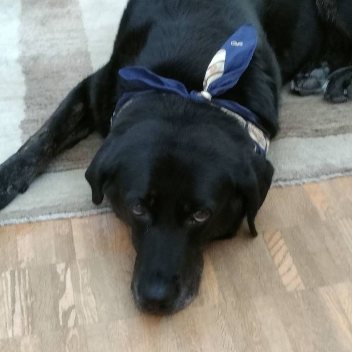 24b9b129 d647 42a0 8ba6 96458d84add2 1722499982036