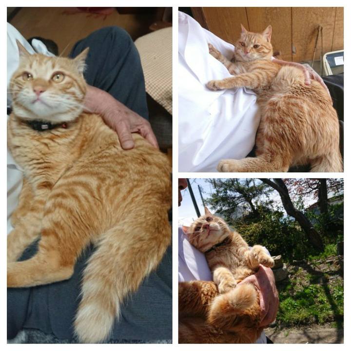 24b9bc83 924c 47d5 ae69 dc48b5f845ab 1651149178059