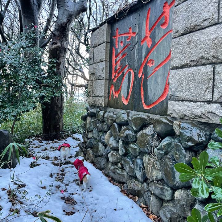 24b9f48d 5753 438f b5b3 65a79991472e 1639956349943