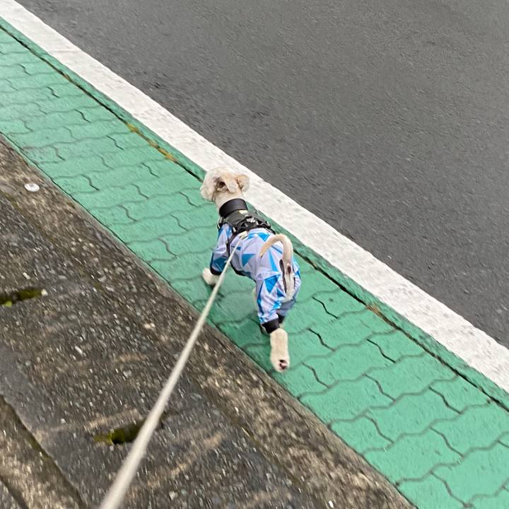 24ba353f 3763 4790 9312 0c8b8dad3bab 1592776142544