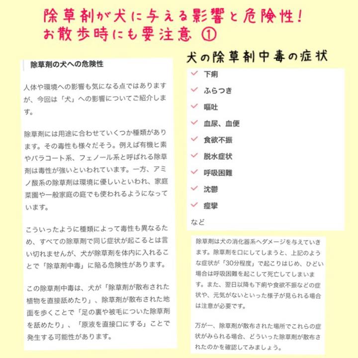 24ba7d45 2fb7 4cac 8404 5e890dcbca42 1524029676862