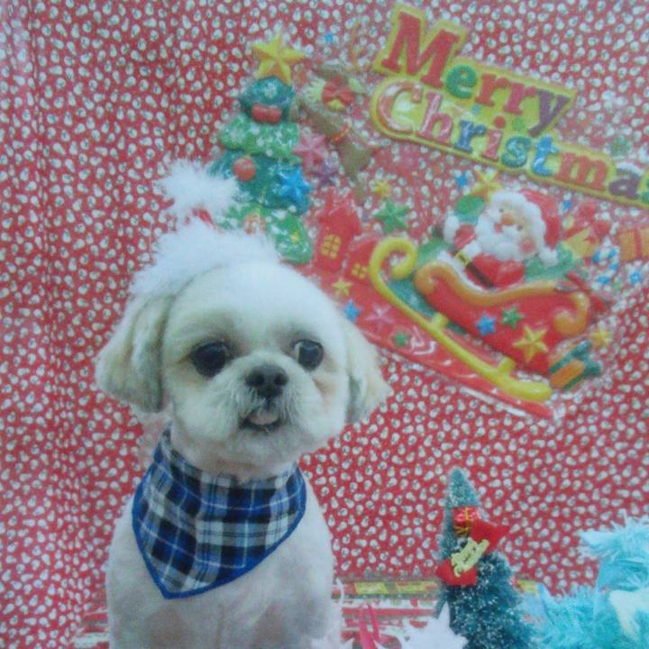 24bacb76 bb3a 404d 9112 ca0b0a886254 1510961731536