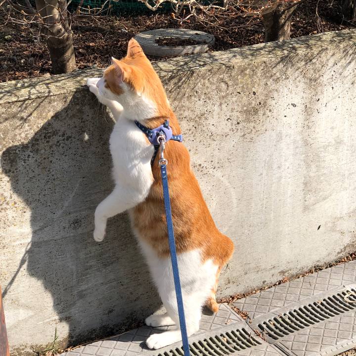 24bb02ac 3185 4b16 bafc 1fcbffd60059 1552971596819