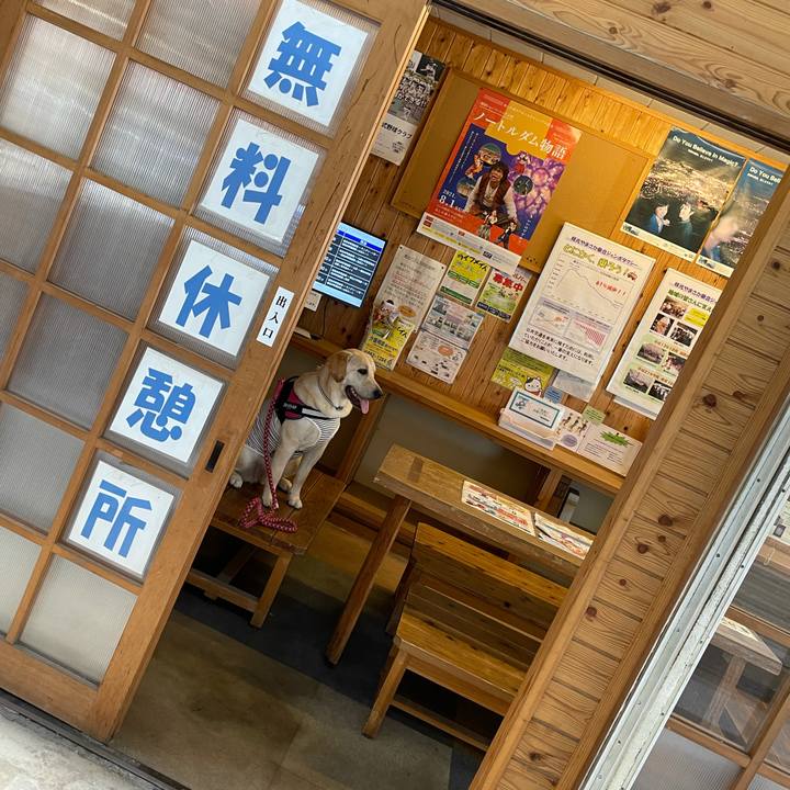 24bb0628 5505 40c5 b7d0 ba25408e0387 1628138236686