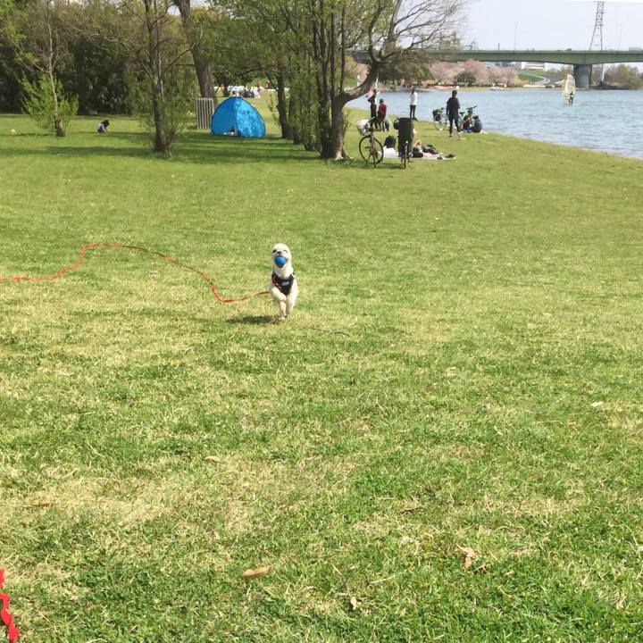 24bb6282 6cc2 4756 830e 515640654ae7 1522570142622