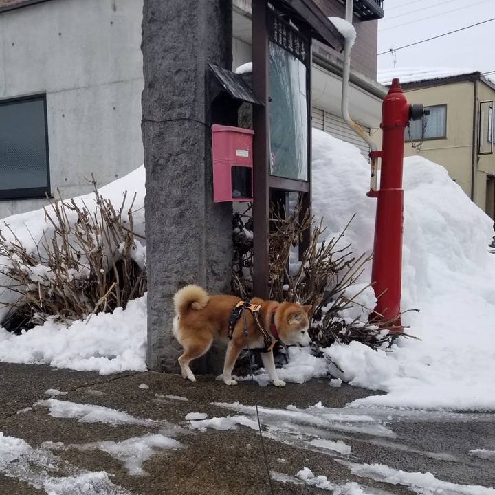 24bb6af5 9e8c 4099 93d9 058880afb330 1741058171709