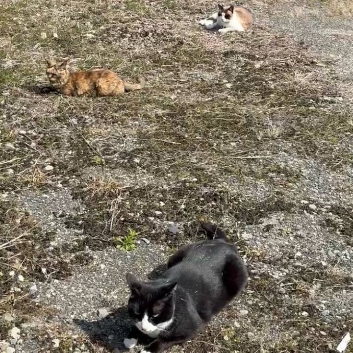 24bbf2ef 183a 4a20 b43b 89af81b3a13b 1773751068502