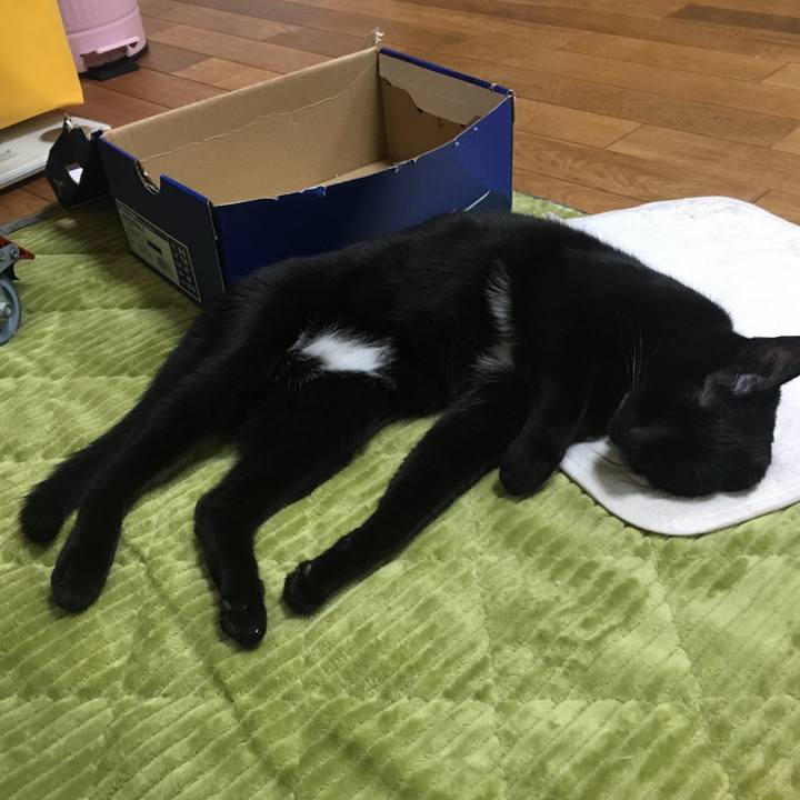 24bc24ce 781d 414f 851f 1effdc869b91 1544528352071