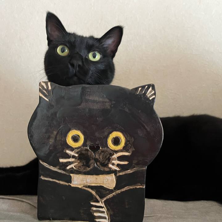 24bc28e5 3f35 46a9 a790 fde90b8a9e41 1756000313522