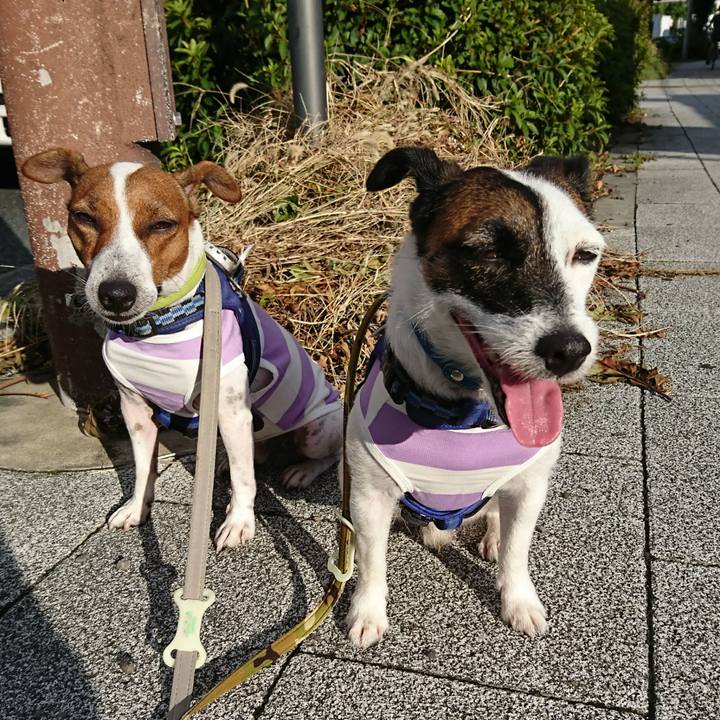 24bc4d17 6a1c 4ba6 a0b4 b9354d11a469 1599170991841