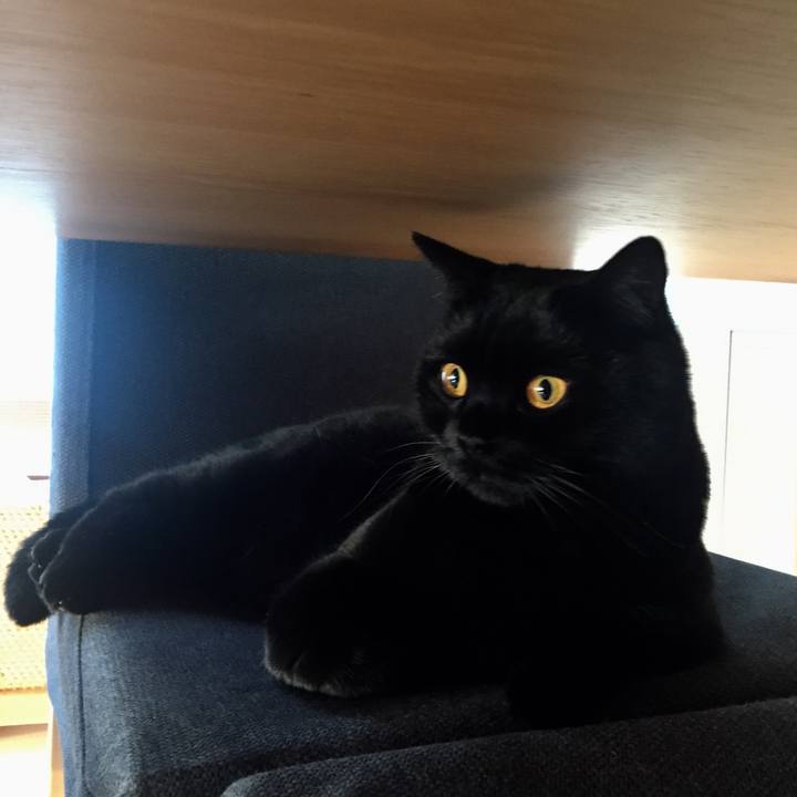 24bc581f 3e7e 447a b5fc 5466b77083c5 1546919713707