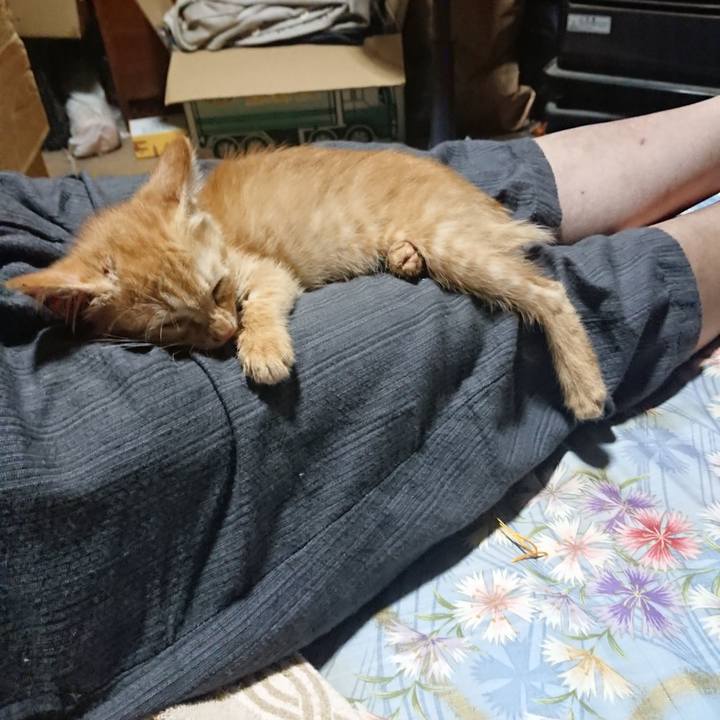 24bc6a07 fc9d 46f4 ad80 30927ee6d8df 1628164562326