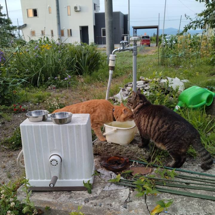 24bc88cf ef88 42bc bc04 3f4f813cbc04 1719526392461