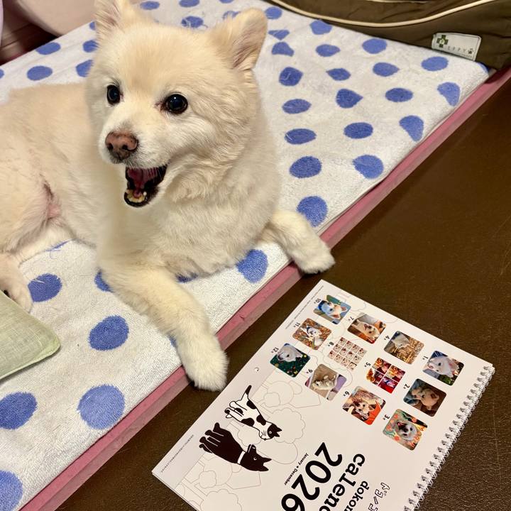 24bc88f1 1478 423d 8dbd 434753143a0e 1763729498653