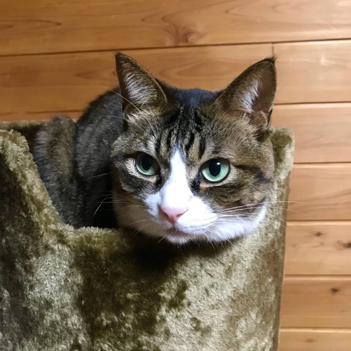 24bcb0e5 37e3 4752 aa3d 09ca989dcf47 1520174382578