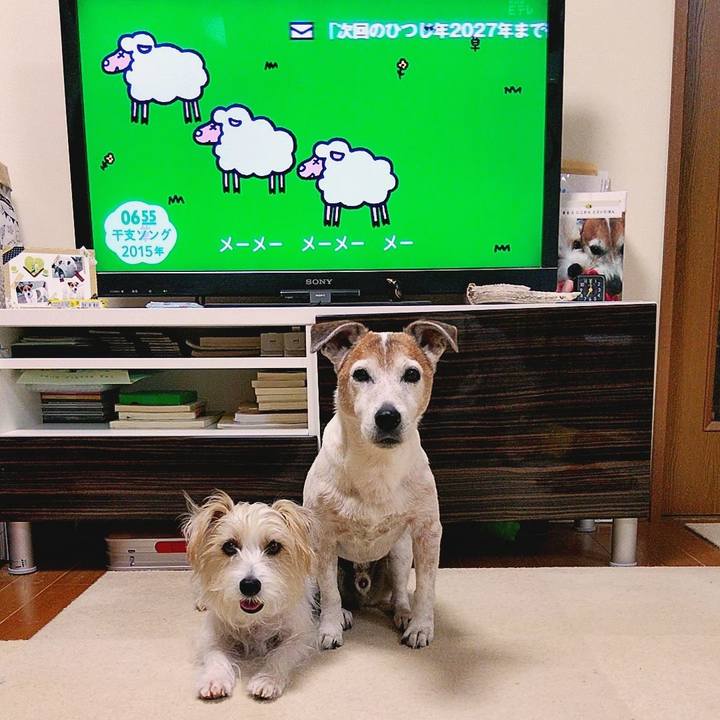 24bcf47d 598c 410a b949 73d13251fddd 1580249912523