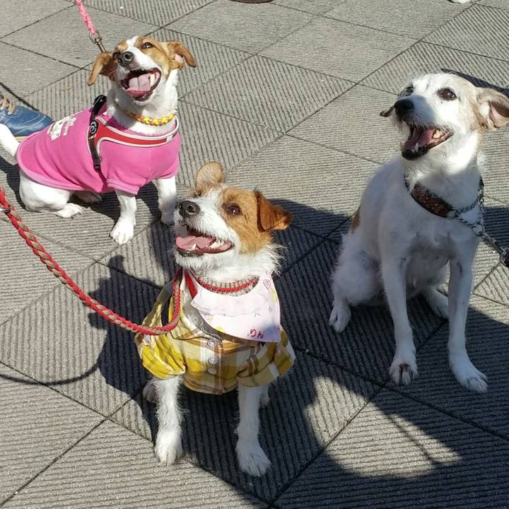 24bd0f1b 08da 420c 8535 f333633af96f 1540095757610