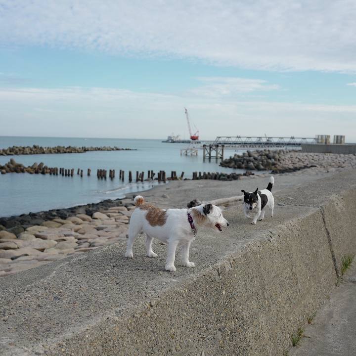 24bd17d6 9aed 4fba 930c da591183644d 1538712261684