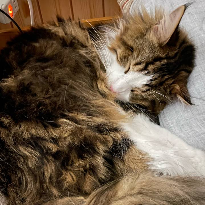 24bd6d5e 678f 4984 a5aa d5b33f2bf38e 1655125395138