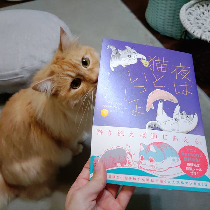 24bd9c3b ae3f 4bdd bd2c 6080a6ef866a 1716376448405