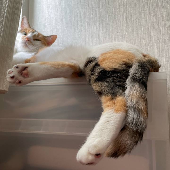 24bd9ebe db30 4a22 9a33 015981ddc46e 1662768649908