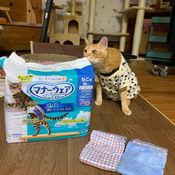 24bda5eb 62c2 402b 84c9 482ad7826ce9 1632219622434