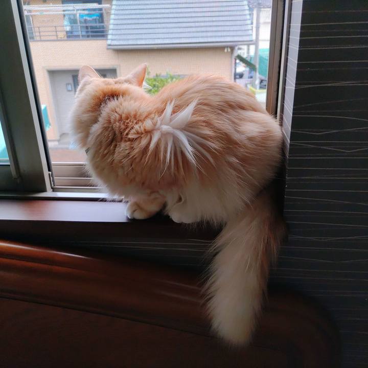 24bdb6c1 435d 4c00 af3e 626e7e8945c1 1694437097583