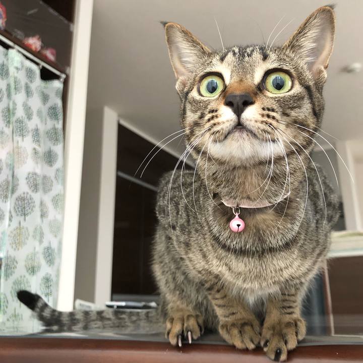 24bdbe68 e92b 4c8d bf2d 475d2b831d84 1520467672832